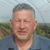 UK Vines in Poly Tunnels with Sandy Booth Part 1